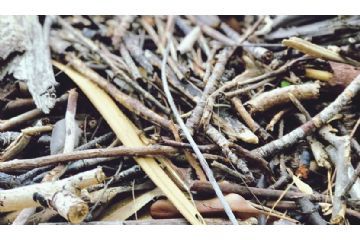 Modifica giorno di raccolta SFALCI VERDI